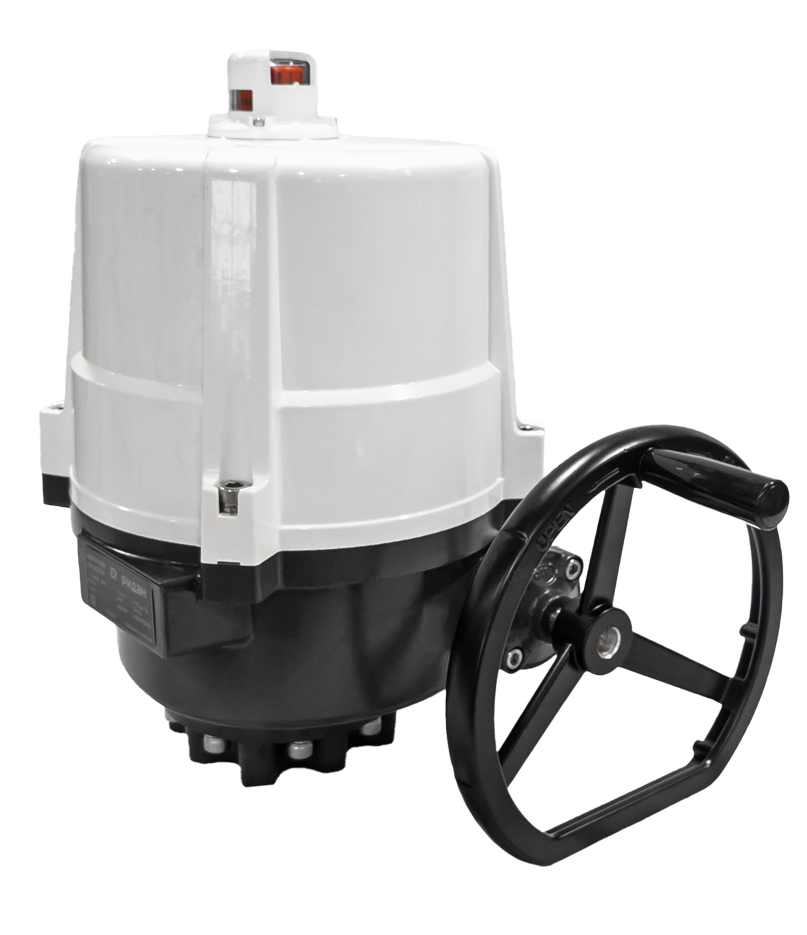 Ридан 065L8183R — Электропривод AMB-H-080 220В без блока управления; IP67; для шаровых кранов RJIP DN200 стандартный проход